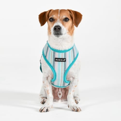 Puppia Theros Dog Harness A (Over-The-Head) Fashionable Striped Pattern Spring Summer Harness for Small and Medium Dogs, Aqua, X-Large