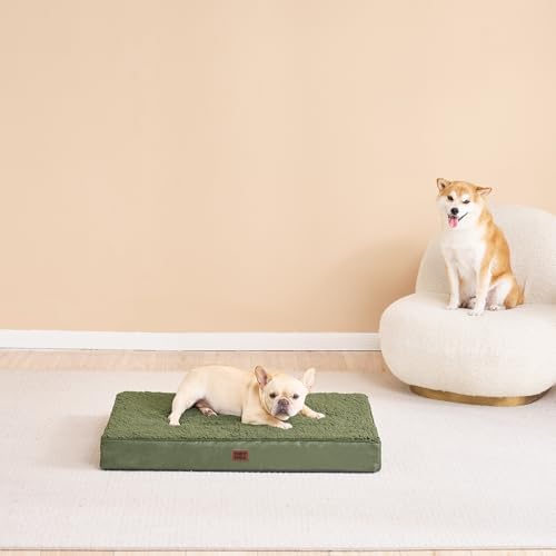 EHEYCIGA Orthopedic Dog Bed Medium with Removable Washable Cover, 30x20