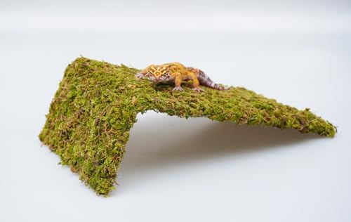 Reptile Moss Climbing Wall for Leopard Gecko, Adjustable Humidity Retaining Terrarium Background, Green Habitat Mat for Shedding Aid & Tank Decoration