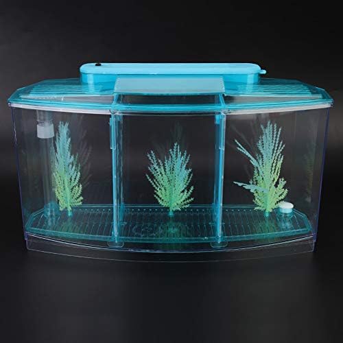 Aquarium Fish , Three Divisions Breeding Isolation Mini Aquarium komplettset LED Acrylic Box for Small Fishes() (Blue)