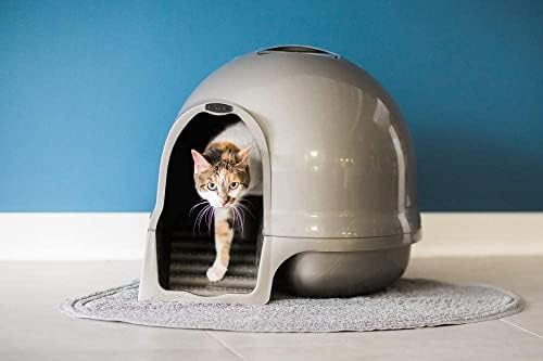 Petmate Booda Clean Step Cat Litter Box Dome (Made in the USA with 95% Recycled Materials)- Brushed Nickel, Made in USA