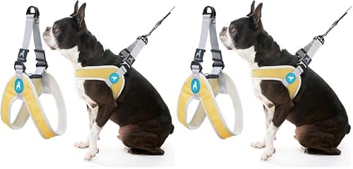 Gooby Simple Step in III Harness - Yellow, Small - Small Dog Harness with Scratch Resistant Outer Vest - Soft Inner Mesh Harness for Small, Medium Dogs (Pack of 2)