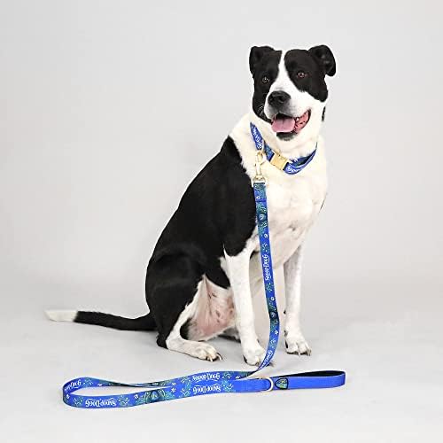 Snoop Doggie Doggs Deluxe Pet Leash, Halftime, 60" x 3Q Inch