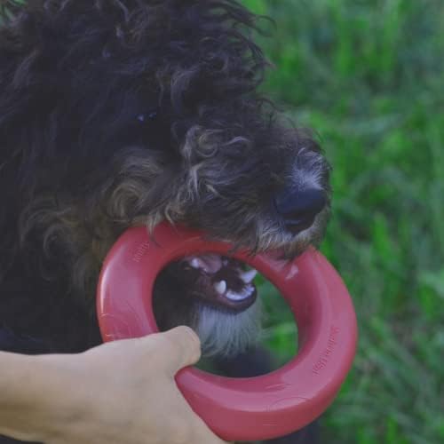 Mutty Dog Chew Ring - Made in USA Dog Toys for Chewers - One Meal Donated to Shelters per Toy - Durable Rubber Puppy and Adult Dog Toy - Non-Toxic 100% Food Grade Materials