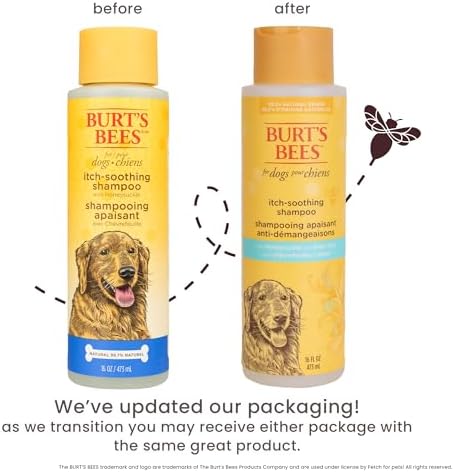 Burts Bees for Pets Itch Soothing Dog Shampoo, Honeysuckle, 16 Fl Oz