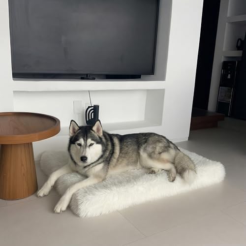 Faux Fur Orthopedic Rectangular Dog Bed, Memory Foam, White Large 41"x27"