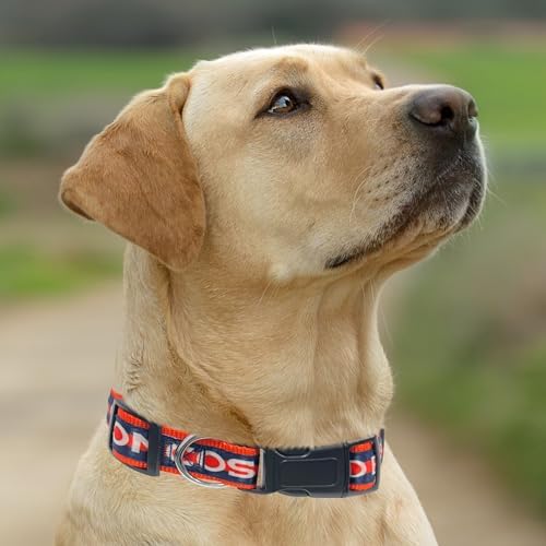 Pets First NFL Denver Broncos Licensed PET COLLAR, Small - Heavy-Duty, Strong, and Durable Dog Collar. Available in 31 Football Teams and 4 Sizes