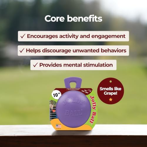 Horsemen's Pride 10 in Jolly Ball Horse Toy, Light Purple