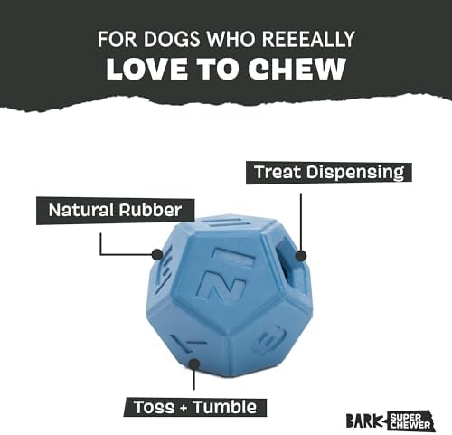 BarkBox Roll and Play Die - Toy for Small Dogs