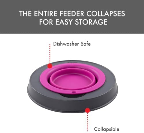 Dexas Pets Elevated Pet Feeder, Small, 1.5 Cup Capacity, Fuchsia, Raised Pet Food and Water Bowl