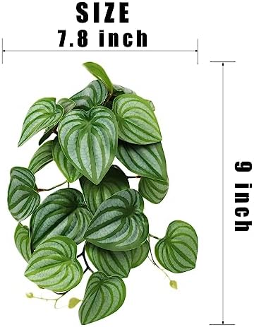2Pack Fake Calathea Orbifolia, Reptile Habitat Plants with Suction