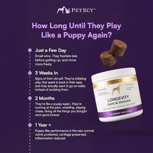 Petscy Longevity Hip & Joint + Immune Support Chews for Dogs - 3.75g Chew - High Dose Glucosamine, MSM, Chondroitin, Green Lipped Mussel, Omega 3, Probiotics - 60 Chews (Small & Medium Dogs)