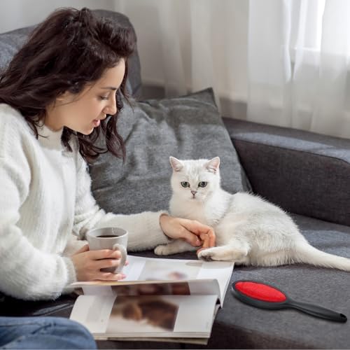 Lint Brush for Pet Hair, Double Sided Reusable Lint Remover, 2 Pack