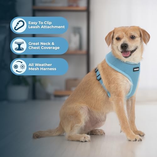 Best Pet Supplies Voyager Aerolite Over the Head Dog Harness, No Pull Breathable Air Mesh Vest, Quick Dry with Reflective Stitching, Adjustable Escape Resistant Harness - Blue, Medium