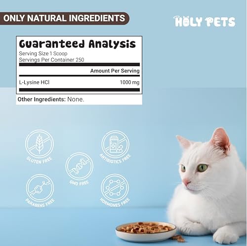 100% Pure L-Lysine Powder for Cats–No Flavors, No Fillers or Preservatives–1,000mg per Scoop–Immune, Respiratory & Eye Support–Sneezing, Runny Nose & Cold Symptoms (500g)