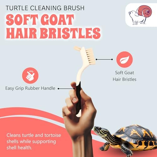 Turtle Cleaning Brush Remove Aquatic Mud, Dirt, & Contaminants from Tortoises Shells & Promoting Shell Health - Goat Hair Bristle Brush with Grip Rubber Handle - White by Snout and Shell