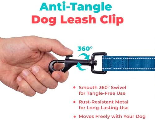 Best Pet Supplies Voyager Nylon Dog Leash - 6ft Royal Blue, Large