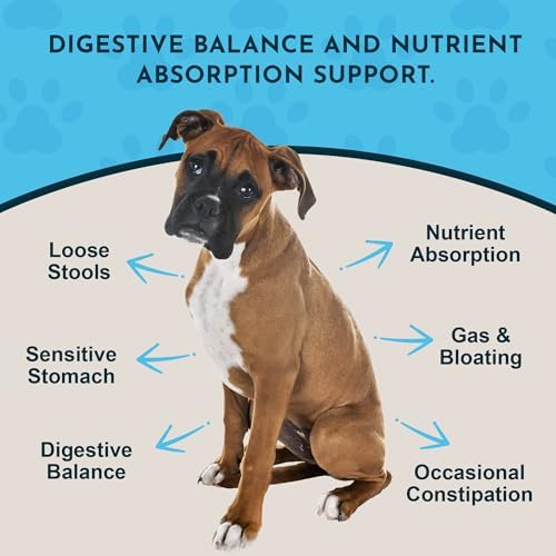 Animal Essentials Plant Enzyme & Probiotics, Plant Based - 3.5 Oz