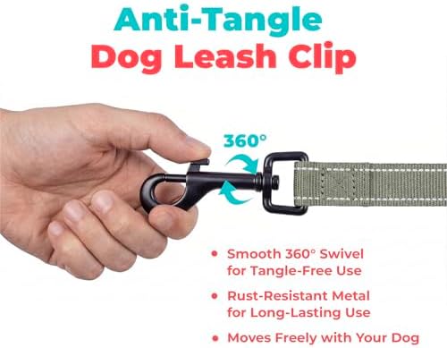 Best Pet Supplies Voyager Nylon Dog Leash - Moss Green, Small