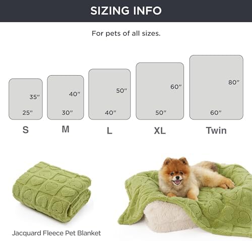 Bedsure Dog Blanket for Small Dogs Puppy and Cats, Soft Fleece, 25x35 Green