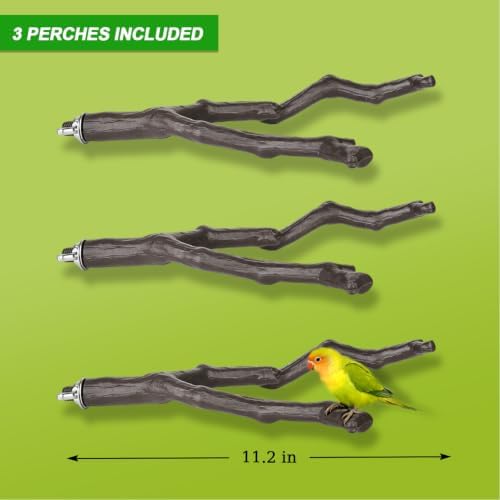 3 Pack Bird Perches for Cage, Bird Cage Accessories Branch Style Bird Stand with Mounting Hardware, Textured Climbing Perches for Budgie Cockatiels Finches Small Birds Plastic