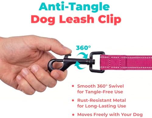 Best Pet Supplies Voyager Nylon Dog Leash - 6ft Fuchsia, Large