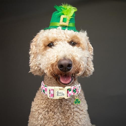 St Patrick's Pink Plaid Trefoil Dog Collar for X-Small Dogs