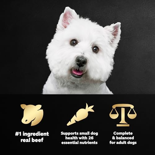 Cesar Small Breed Dry Dog Food, Porterhouse and Spring Vegetables, 5 lb
