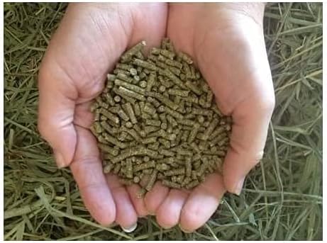 Small Pet Select Guinea Pig Food Pellets, High Fiber Timothy, 20 lb
