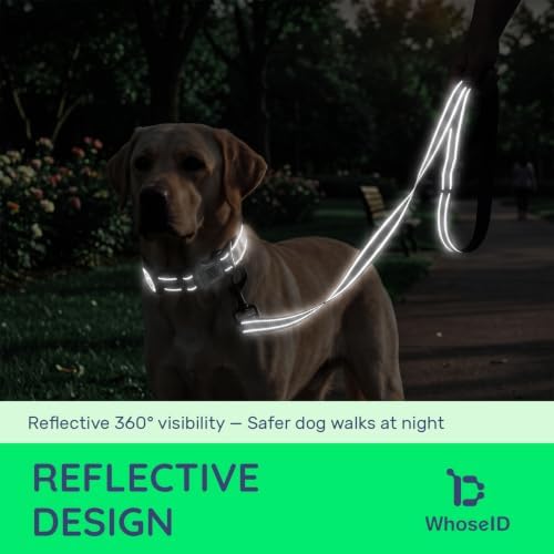 Airtag Dog Collar and Leash Set,Reflective Ultra-Durable Nylon Padded with QR Buckle & IP68 Waterproof Air Tag Holder Compatible for Apple AirTag,Comfortable for Small Medium Large Dogs(Black Set,XS)