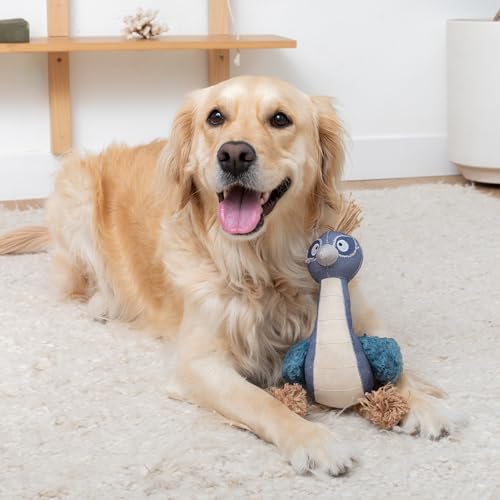 Fringe Studio Feather Than Ever 3D Earth Friendly Dog Toy, PetShop Collection (718012)