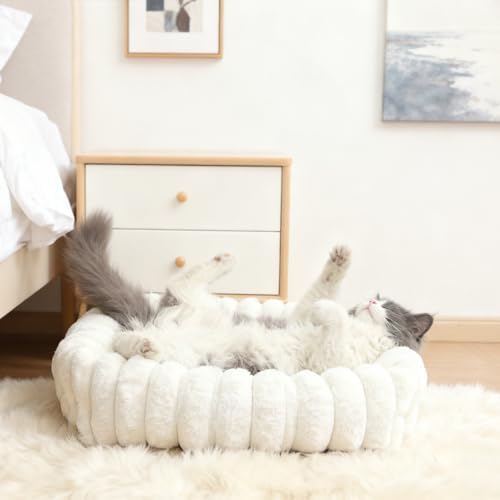 Dog Beds for Very Small Dogs & Cats - Washable Rectangle Comfy Sleeping Puppy Bed Cuddler with Anti-Slip Bottom, Soft Calming Plush Pet Sofa Bed for Indoor Kittens & Puppies, XS (18"x14"x4", Cream)