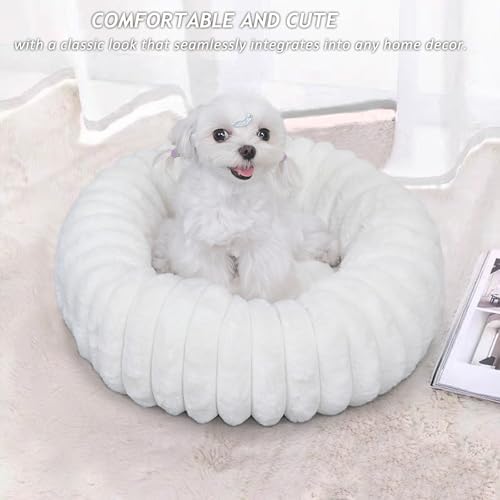 Small Cat Beds for Indoor Cats - Washable Round Kitten Bed, Cute Pumpkin Shape, Comfy Sleeping for Puppy, Small Dogs, Kitty - 19 Inch, Cream