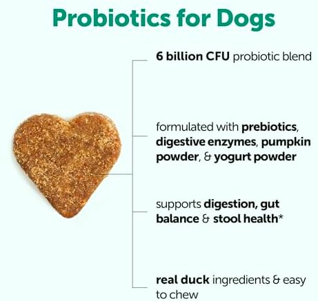Micro Ingredients Probiotics for Dogs, 240 Soft Chews | Daily Digestive Health Probiotic Chews for Dogs with Prebiotics & Enzymes | Supports Gut Flora & Immune Function* | Non-GMO, Duck Flavor