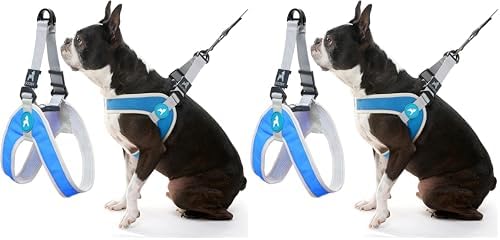 Gooby Simple Step in III Harness - Blue, Large - Small Dog Harness with Scratch Resistant Outer Vest - Soft Inner Mesh Harness for Small, Medium Dogs (Pack of 2)