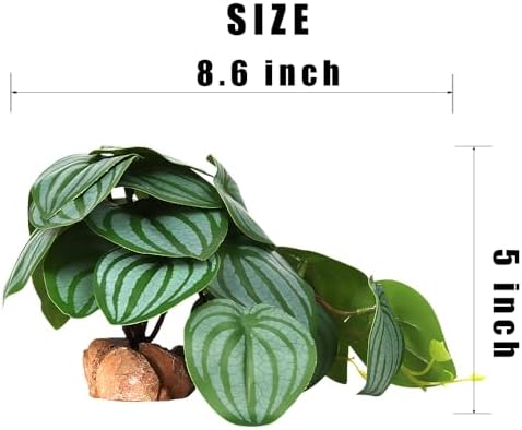 Fake Calathea Orbifolia Reptile Terrarium Plants for Gecko Frog