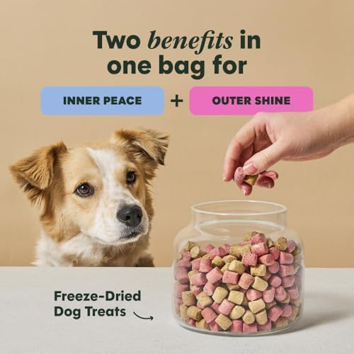 Instinct Duos Snuggle Booster, Freeze Dried Treats, Chicken, 4 oz.