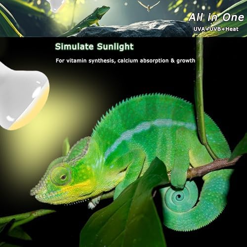 Reptile UVA Daylight Bulb, 75W Natural Sunlight Lamp for Habitats