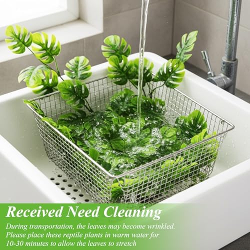 Suncalla 8 Pack Reptile Plants Terrarium Hanging Plant Vine Boston Climbing Terrarium Plant with Suction Cup for Bearded Dragons Lizard Crested Gecko Snake Crab Tank(Popular Series,Green)
