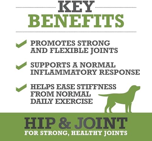 WINPRO Hip & Joint Supplement for Dogs - Plasma Powered Soft Chews for Joint Health & Mobility – Fast-Acting with Collagen & Natural Ingredients for Dogs of All Breeds – 60 Chews