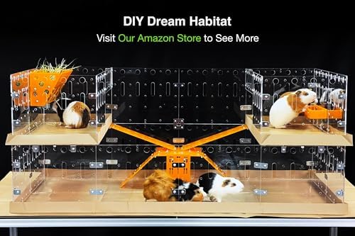 GuineaLoft™ Model-A Acrylic Guinea Pig Cage - Large 4x2ft Expandable C&C