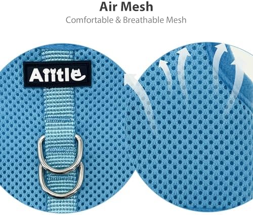 AIITLE Adjustable Rabbit and Leash Set - Lightweight & Portable, Padded Vest with Magic Tape Design, Indoor/Outdoor Use - Fits Hamsters, Rats, Iguanas, Puppies, Cats, Blue M