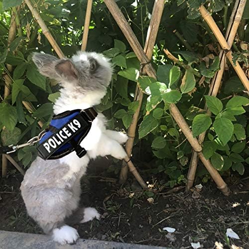 Rabbit Harness with Leash for Bunny Rabbits Cats Small Animals (Blue)