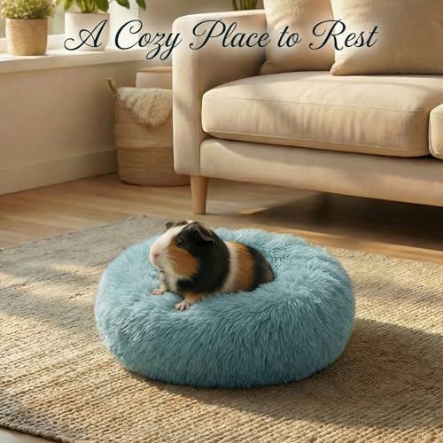 Guinea Pig Bed for Small Animal for Dwarf Rabbits/Hamster/Hedgehog/Ferrets