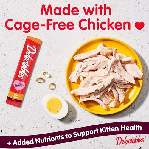 Delectables Squeeze Up Kitten Creamy Squeezable Puree, Lickable Wet Cat Treats, Grain Free, No Added Fillers, No by-Products, No Added Preservatives, 0.5 Ounces Tube Chicken, 32 Tubes Total