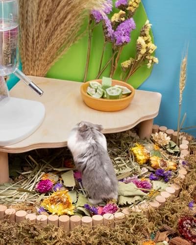 Niteangel Hamster Snack Treat Toy: Freeze-Dried Okra & No Additive