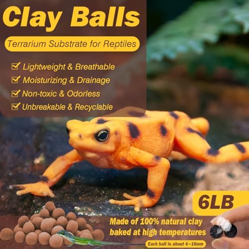 ZeeDix 6 LBS Leca Clay Balls for Reptile & Terrarium Substrate