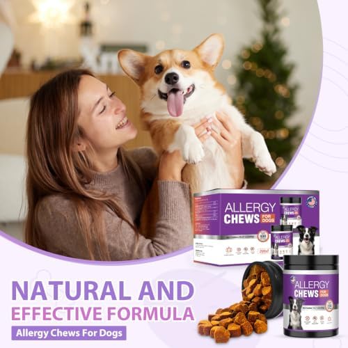 Dog Allergy Chews, Itchy Skin & Hot Spot Relief with Probiotics,Pumpkin Flavor