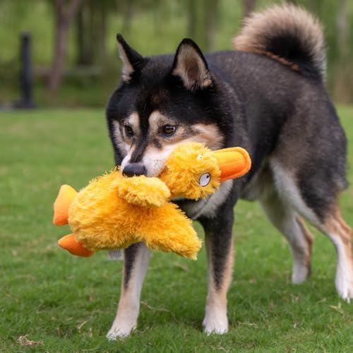 Best Pet Supplies Squeaky Plush Dog Toy - Ducky Doodle, Medium