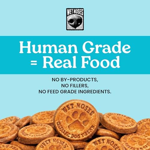Wet Noses Organic Crunchy Dog Treats – All-Natural, Human-Grade, Non-GMO, Healthy Training & Delicious Snacks for Dogs, for All Dog Sizes & Breeds – Grain Free Peanut Butter & Molasses, 14oz (2 Pack)